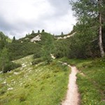 Als leichte Variante kann man auf dem Rückweg den Pfad Nr. 7 einschlagen