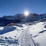Schneeschuhwanderung Latemarwiesen