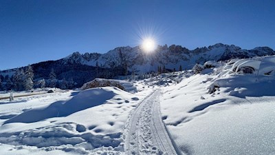 Schneeschuhwanderung Latemarwiesen