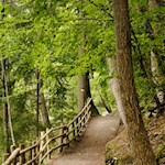Auf dem Weg zu den Rittner Erdpyramiden