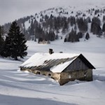 Die friedvollen Steinalmen