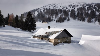 Die friedvollen Steinalmen