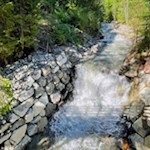 Die Wanderung führt den Schwarzgriessbach entlang