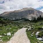 „Nur wo du zu Fuß warst, bist du auch wirklich gewesen.“ (J. W. von Goethe)