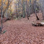 Längs des Weges laden zahlreiche Bänke zum Genießen und Verweilen ein