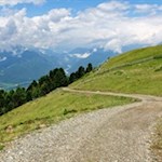 Knapp oberhalb der Waldgrenze 