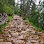 Über den schön angelegten Pflasterweg zur Moschwaldalm