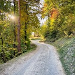 Durch lichte, herbstlich gefärbte Haine zum Patscheider Hof