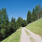 Der breite Weg steigt sanft in Richtung Uwaldalm an