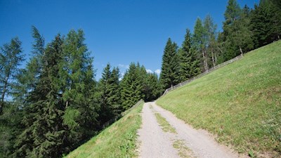 Der breite Weg steigt sanft in Richtung Uwaldalm an