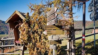 In Signat folgt man weiterhin dem Weg Nr. 5