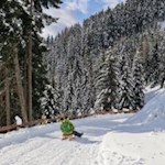 Gemütliche Rodelfahrt