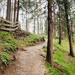 Unsere Wanderung führt durch Wiesen und Wälder