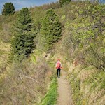 Der Weg zur Arnikahütte führt über die Hänge des Puflatsch