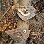 Holzvögel am Gumperer Weg