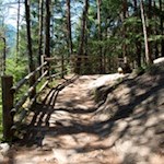 Durch den lichten Wald von Wasserfall zu Wasserfall