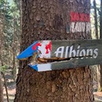 Auch der Rückweg nach Albions ist gut ausgeschildert