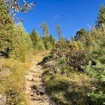 In the steady climb through woods and meadows to the farm Hofer Alpl