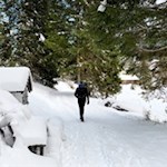 Durch Wald und Wiesen zum Karersee