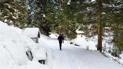 Durch Wald und Wiesen zum Karersee