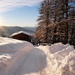 Alternativ zum hier beschriebenen Wanderweg kann man auch auf dem breiten Forstweg Nr. 8 zum Hofer Alpl wandern