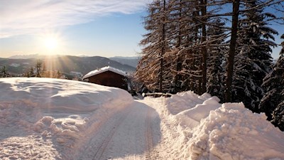 Alternativ zum hier beschriebenen Wanderweg kann man auch auf dem breiten Forstweg Nr. 8 zum Hofer Alpl wandern