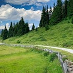 Von der Kalcheralm führt der breite Weg zur Rinneralm