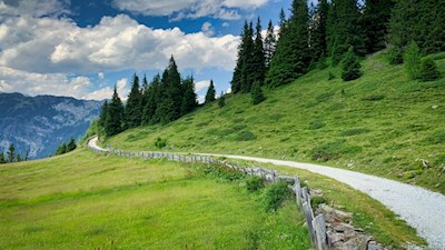Von der Kalcheralm führt der breite Weg zur Rinneralm
