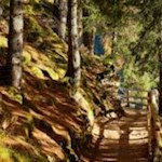 Auf dem Naturerlebnispfad um den Antholzer See