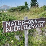 Der Weg zur Auerleger Alm ist nicht zu verfehlen