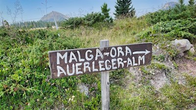 Il sentiero verso la malga d'Ora è ben segnalata