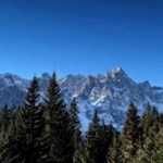 Die Sextner Rotwand ragt zwischen den Wipfeln der Bäume hervor