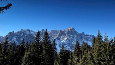 Die Sextner Rotwand ragt zwischen den Wipfeln der Bäume hervor