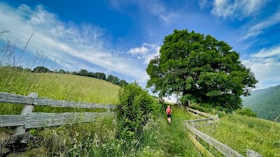 Frühlingswanderung im Sarntal