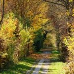 Herbstliche Farben allüberall entlang der Rienzpromenade