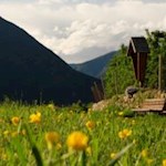Einladende Frühlingswiese auf der Kranebitter Anhöhe nahe Brixen
