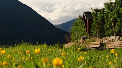 Einladende Frühlingswiese auf der Kranebitter Anhöhe nahe Brixen