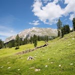 Blick von der Stolla Alm auf den Dürrenstein
