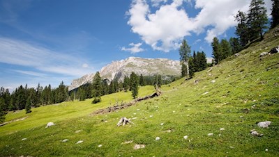 Blick von der Stolla Alm auf den Dürrenstein