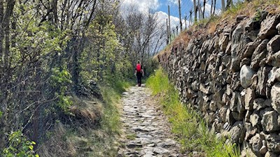 Der Wanderweg nach Villanders wird von Obstwiesen und Sträuchern umsäumt