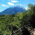 Im Hintergrund ragen die rauen Felsen der Texelgruppe in die Höhe