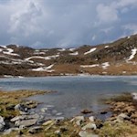 An den einsamen Ufern des Grünbachsees