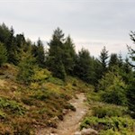 Der Abstieg vom Terner Jöchl erfolgt auf dem Hinweg