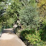 Längs des Tappeinerweges gedeiht eine üppige Vielfalt unterschiedlicher Pflanzen