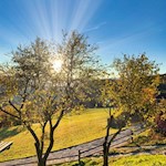 Die linde Herbstsonne taucht die Landschaft in warme Farben