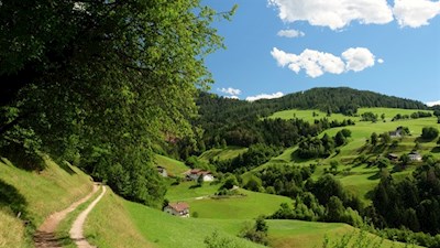 Auf gemütlichen Pfaden zum Schloss Prösels