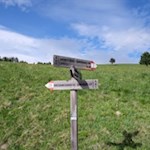 Der Weg zur Kreuzwiesenalm ist nicht zu verfehlen