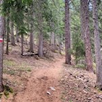 Im steten Anstieg auf den Scheibenberg