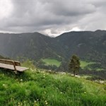 "Die Welt gehört dem, der sie genießt." (Giacomo Leopardi)