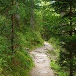 Auf sanften Pfaden zur Dusler Alm